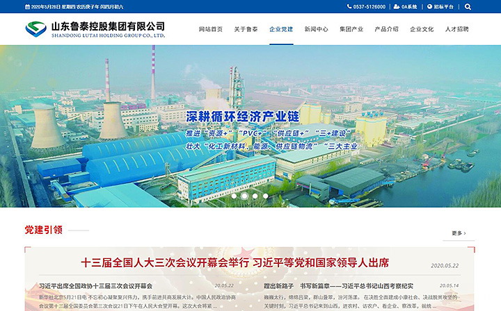 山东鲁泰控股集团有限公司